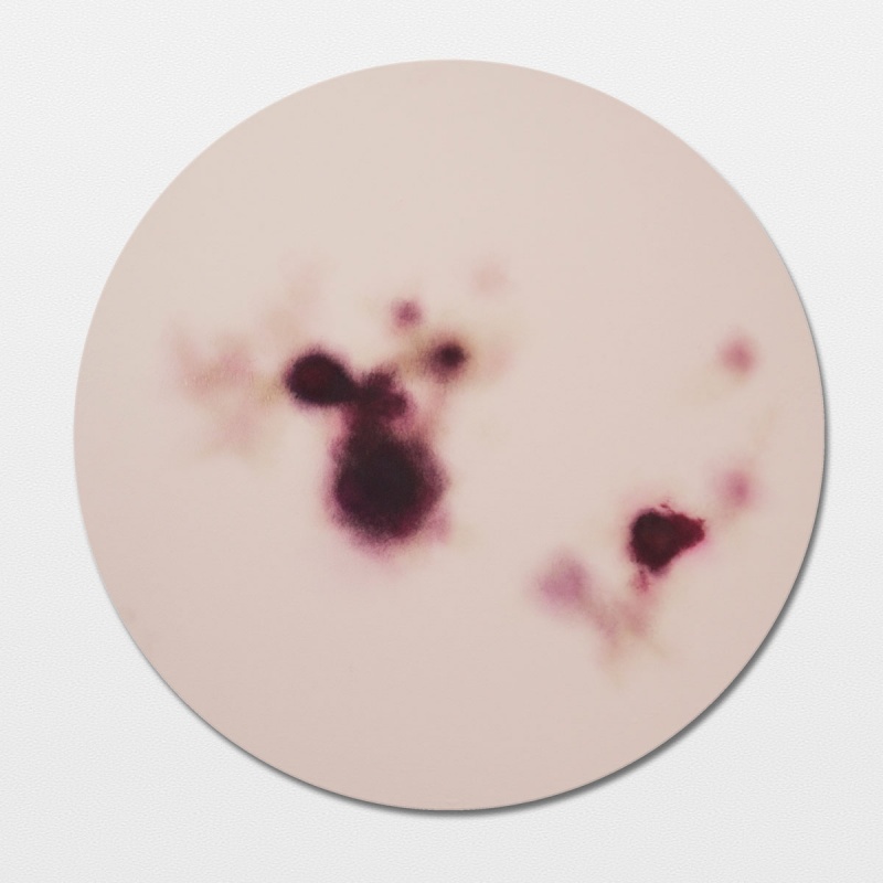 Andrea Frosolini @ Ventinovegiornihttps://www.exibart.com/repository/media/eventi/2015/06/andrea-frosolini-@-ventinovegiorni-1.jpg