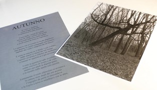 Ciclo dei sogni