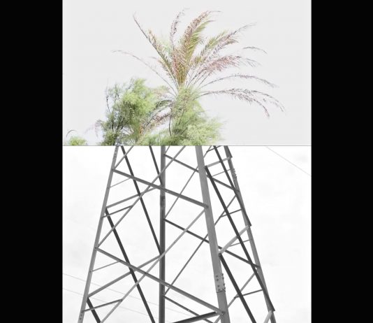 Cosimo Casoni – Utopian Vivarium