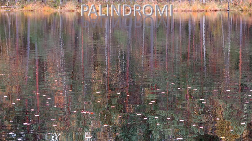 Erika De Martino – Palindromihttps://www.exibart.com/repository/media/eventi/2015/06/erika-de-martino-8211-palindromi-3-1068x600.jpg