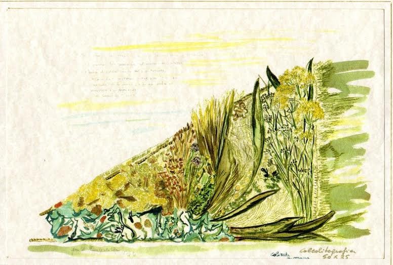 Franca Raponi – Ulissehttps://www.exibart.com/repository/media/eventi/2015/06/franca-raponi-8211-ulisse-3.jpg