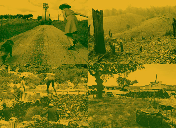 Grow It Yourselfhttps://www.exibart.com/repository/media/eventi/2015/06/grow-it-yourself-1.jpg