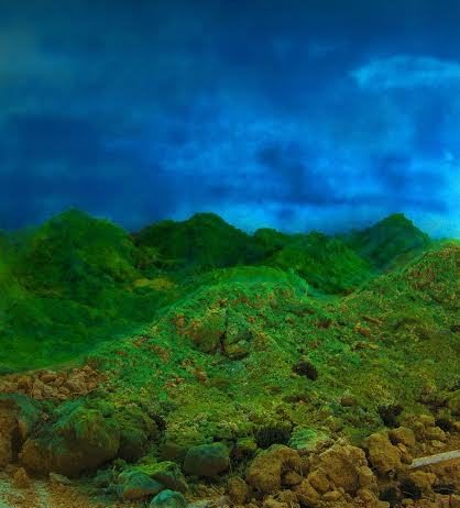 Mathieu Cardin – Le qualità segrete del verde