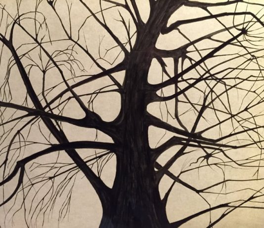 Nicola Bottalico – Il Colore si accende. Alberi, boschi di notte ed altre opere