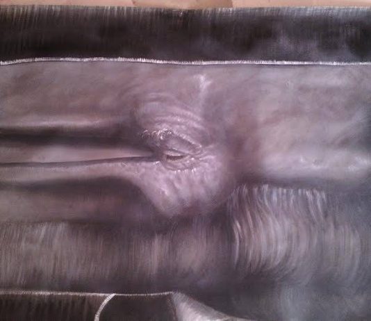 Pasquale Russo Maresca – Architettura del Volto