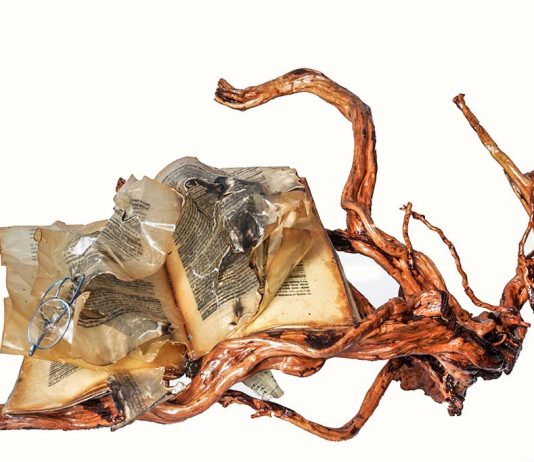 Vincenzo Vavuso – Strutture estreme