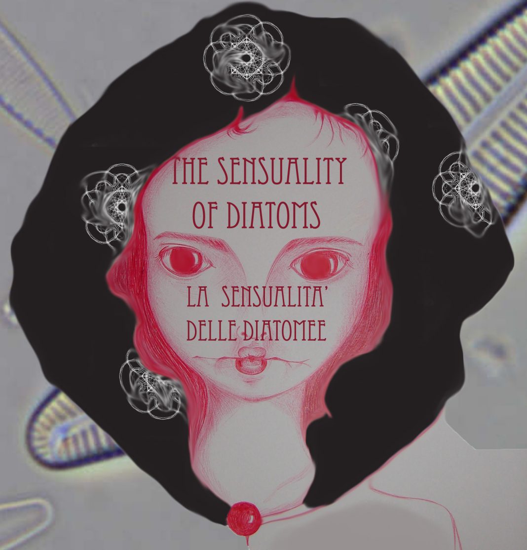 Viviana Puecher / Maria Giovanna Speranza – The Sensuality Of Diatomshttps://www.exibart.com/repository/media/eventi/2015/06/viviana-puecher-maria-giovanna-speranza-8211-the-sensuality-of-diatoms-1068x1114.jpg
