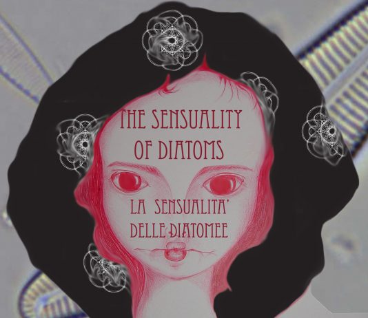 Viviana Puecher / Maria Giovanna Speranza – The Sensuality Of Diatoms