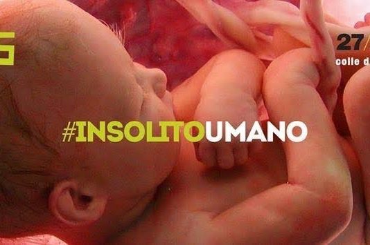 Welcome To Paradise 5: #Insolito Umano