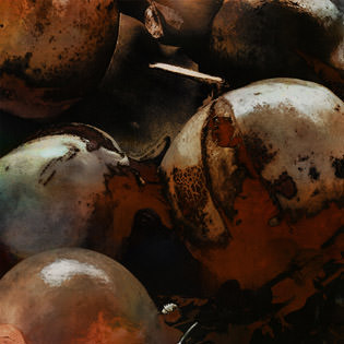 Patrizia Calegari – Assaggiando con gli occhi