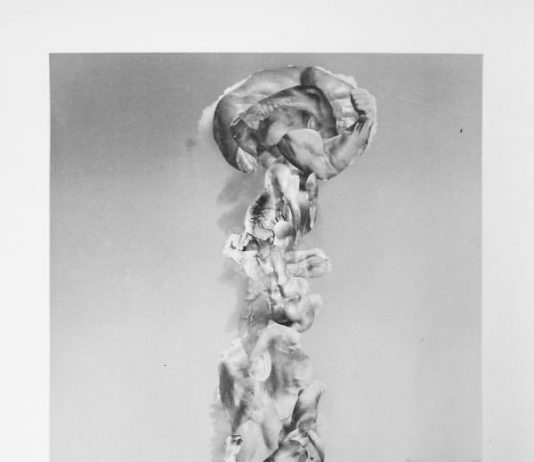 Ryts Monet – Why do I want to go to Mars Ryts Monet – Why do I want to go to Mars