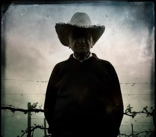 Sandro Pezzi – Questa terra la mia terra