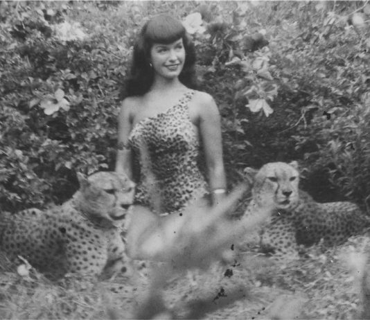 Bettie Page: The Original Pin Up. Michael Fornitz Collection