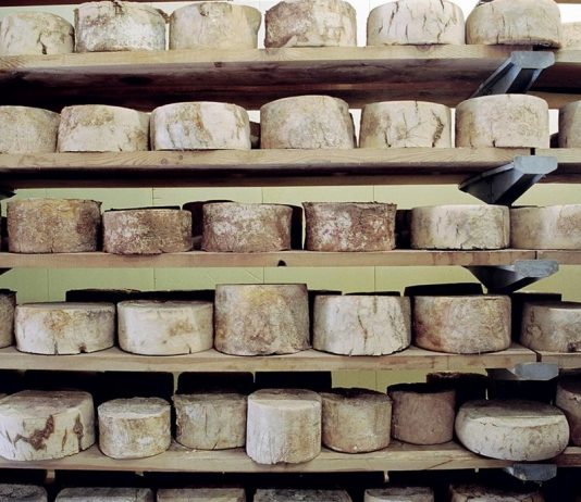 Gusto e Bellezza dal giardino alla tavola:  I sapori della montagna. Gesti e ricette dalle valli del Piemonte