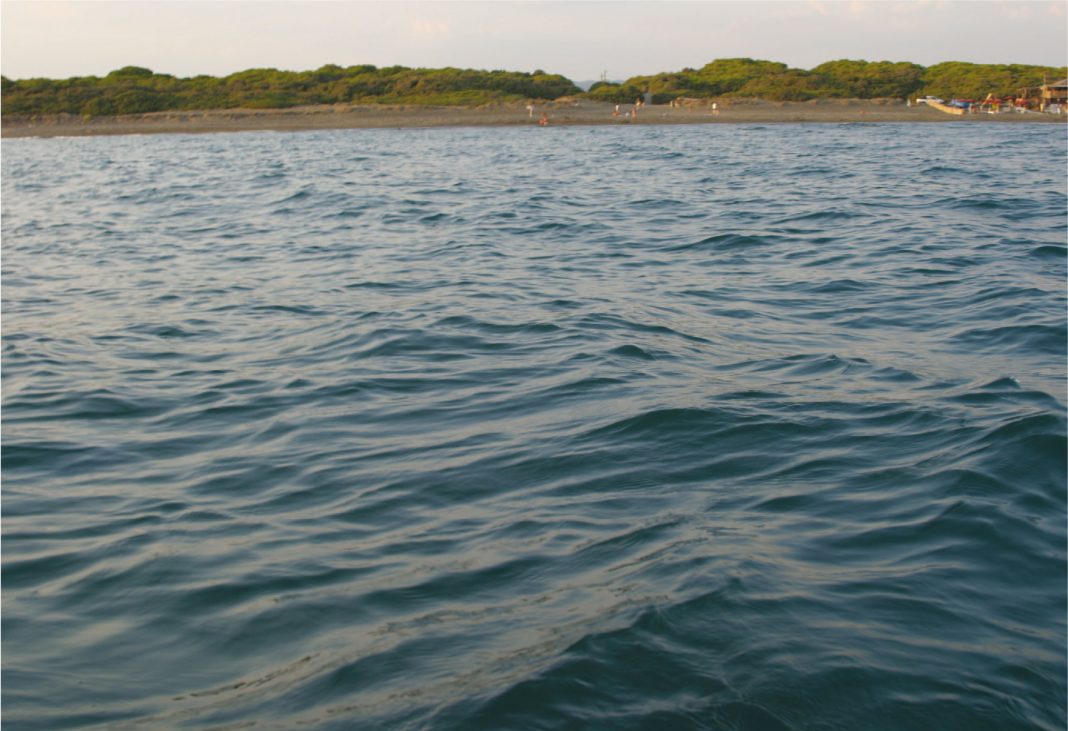 Paolo Angelosanto – I fiori del marehttps://www.exibart.com/repository/media/eventi/2015/08/paolo-angelosanto-8211-i-fiori-del-mare-1068x731.jpg