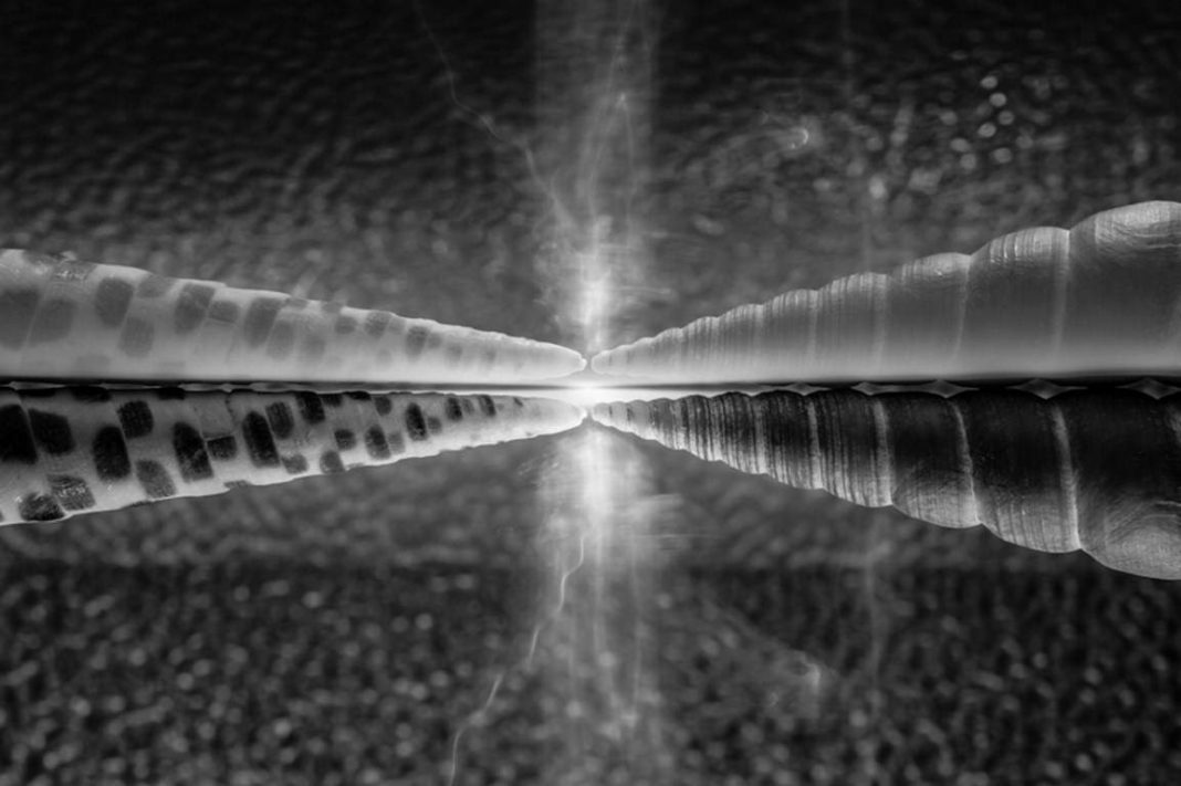 Alessandro Donaggio – Cosmohttps://www.exibart.com/repository/media/eventi/2015/09/alessandro-donaggio-8211-cosmo-1068x711.jpg