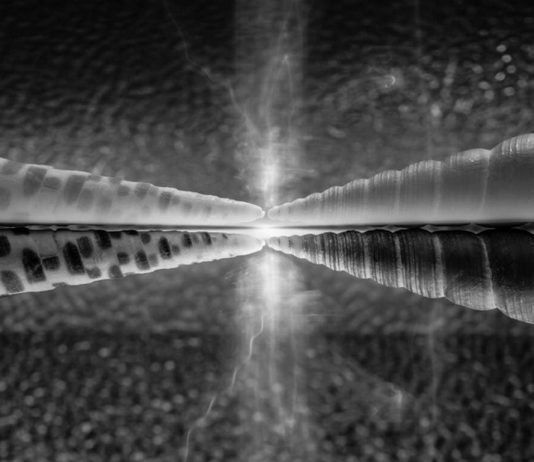 Alessandro Donaggio – Cosmo Alessandro Donaggio – Cosmo