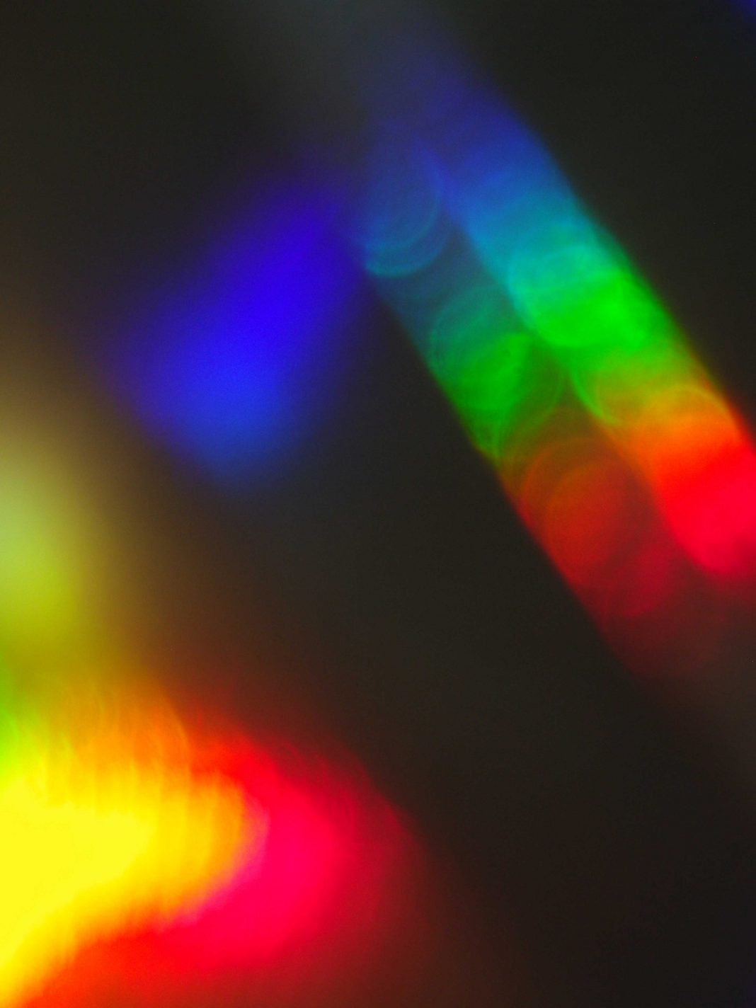 Annamaria Angelini – Effemeridihttps://www.exibart.com/repository/media/eventi/2015/09/annamaria-angelini-8211-effemeridi-1-1068x1424.jpg