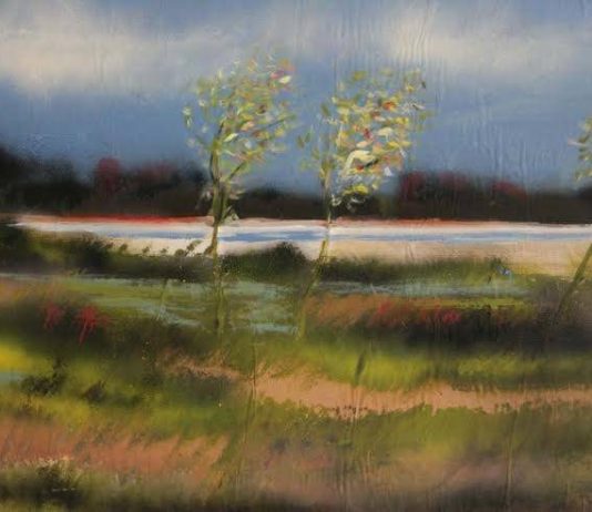 Claudio Cesari – Terra e Acqua