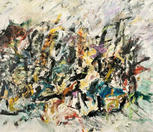 Franco Rota Candiani – Luce del sud