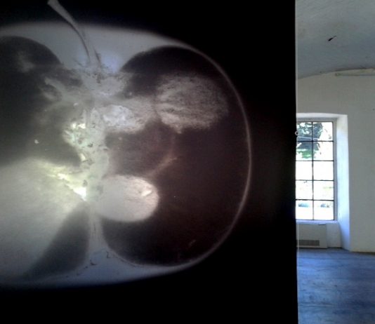 Grazia Amendola – Regimi di reciprocità