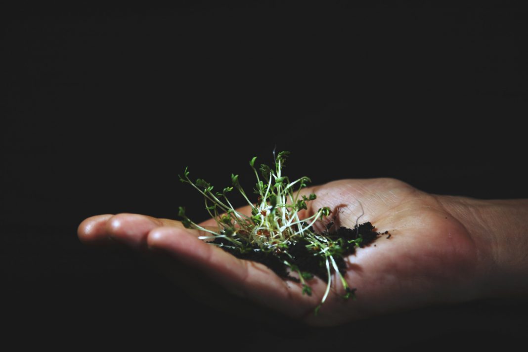 I Frutti del nostro territorio… I Frutti della solidarietàhttps://www.exibart.com/repository/media/eventi/2015/09/i-frutti-del-nostro-territorio…-i-frutti-della-solidarietà-2-1068x712.jpg