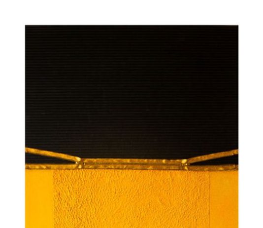 Alessandro Mattia Mazzoleni – Aperture e Connessioni, la forza creativa dell’arte