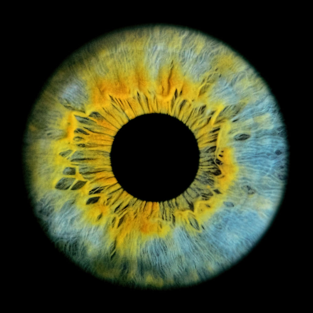 Annalaura di Luggo – Occh-io (Eye-I)https://www.exibart.com/repository/media/eventi/2015/10/annalaura-di-luggo-8211-occh-io-eye-i.jpg