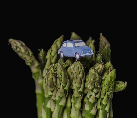 Barbara Oggero – Mini Car & the Big Food
