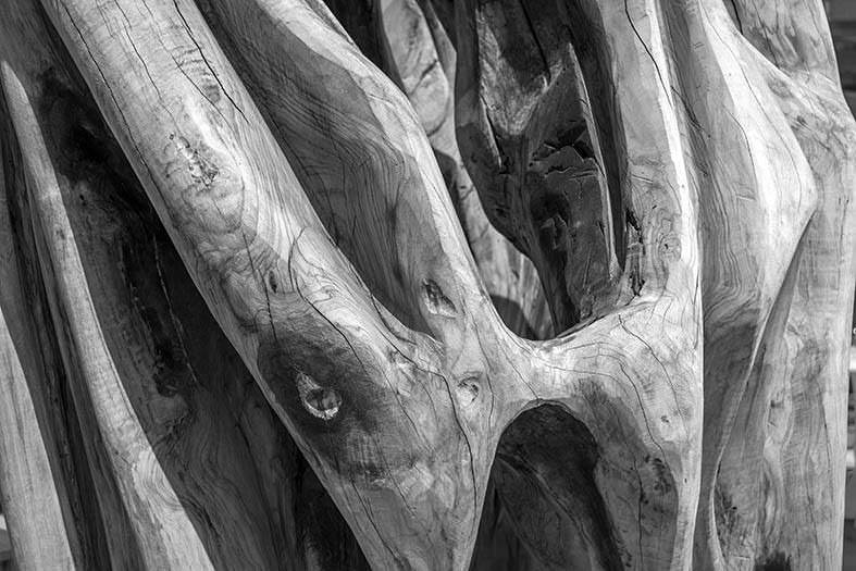 Gennaro Fusco – Nuove visionihttps://www.exibart.com/repository/media/eventi/2015/10/gennaro-fusco-8211-nuove-visioni.jpg