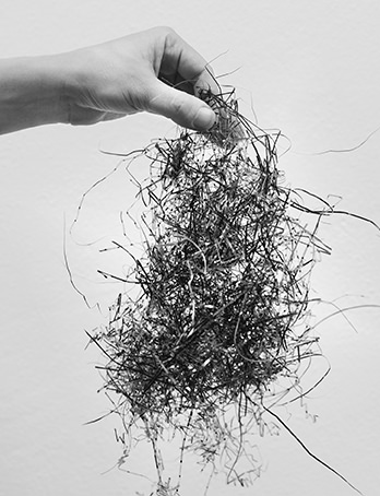 Inaugurazione nuova sede + Tommaso Tanini