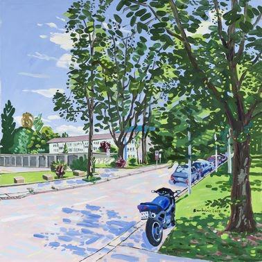 Le caselle di Anton Bruhin Le caselle di Anton Bruhin