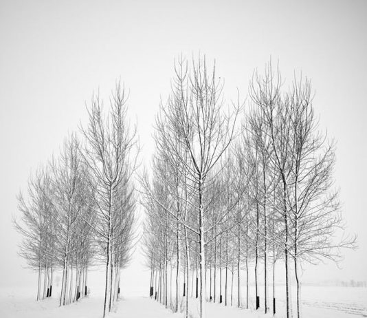 Pierre Pellegrini – Tracce d’inverno