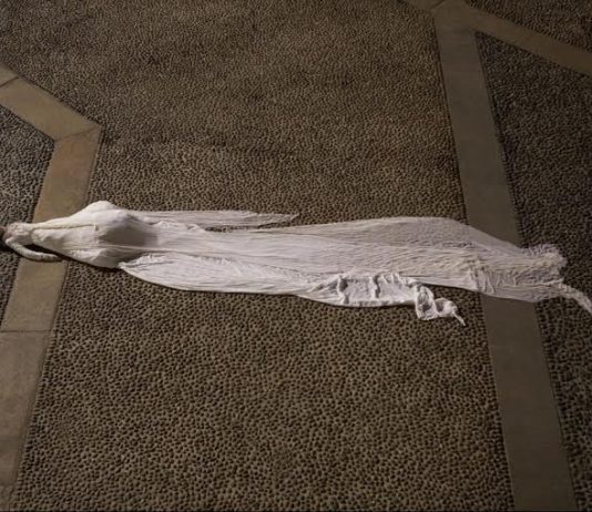 Thomas De Falco – Red