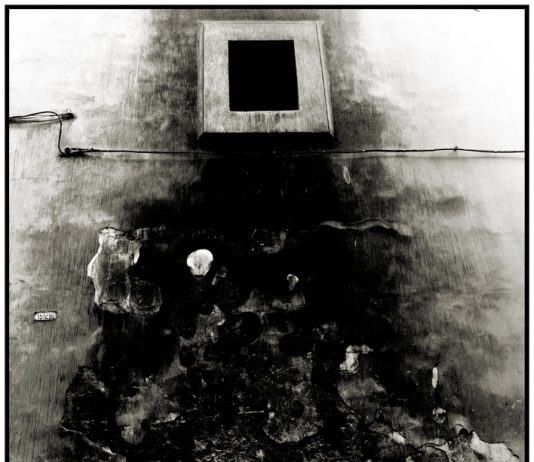 Viktor Blanc – La ville morte