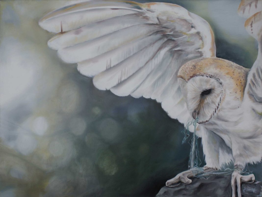 Corrado Inturri – Pajaroshttps://www.exibart.com/repository/media/eventi/2015/11/corrado-inturri-8211-pajaros-1068x804.jpg