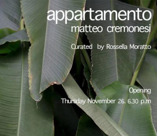 Matteo Cremonesi – Appartamento