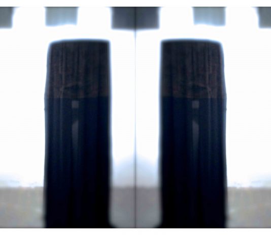 Miriam Wuttke – My hidden nature: In Side Out