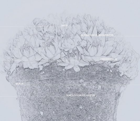 Rebecca Agnes / Stefania Migliorati – Coordinate