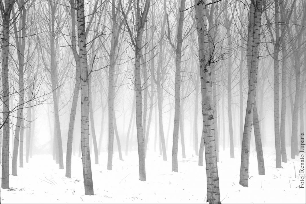 Renato Luparia – Il suono del silenziohttps://www.exibart.com/repository/media/eventi/2015/11/renato-luparia-8211-il-suono-del-silenzio-1068x712.jpg