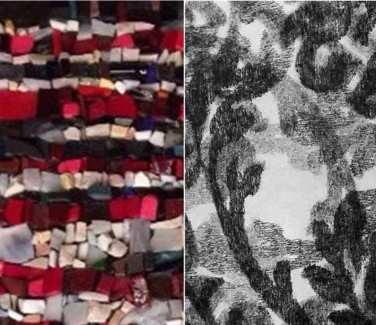 Sonia Bianco / Laura di Fazio – Trama e Ordito