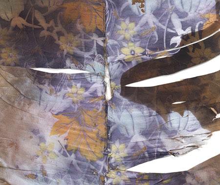 Vitrine: Luca Trevisani – Notes for dried and living bodies