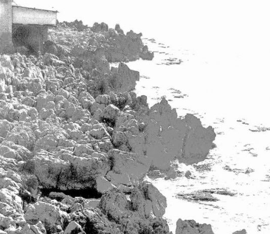 Agata Katia Lo Coco – Forme dell’immagine. Guardare, vedere, toccare…