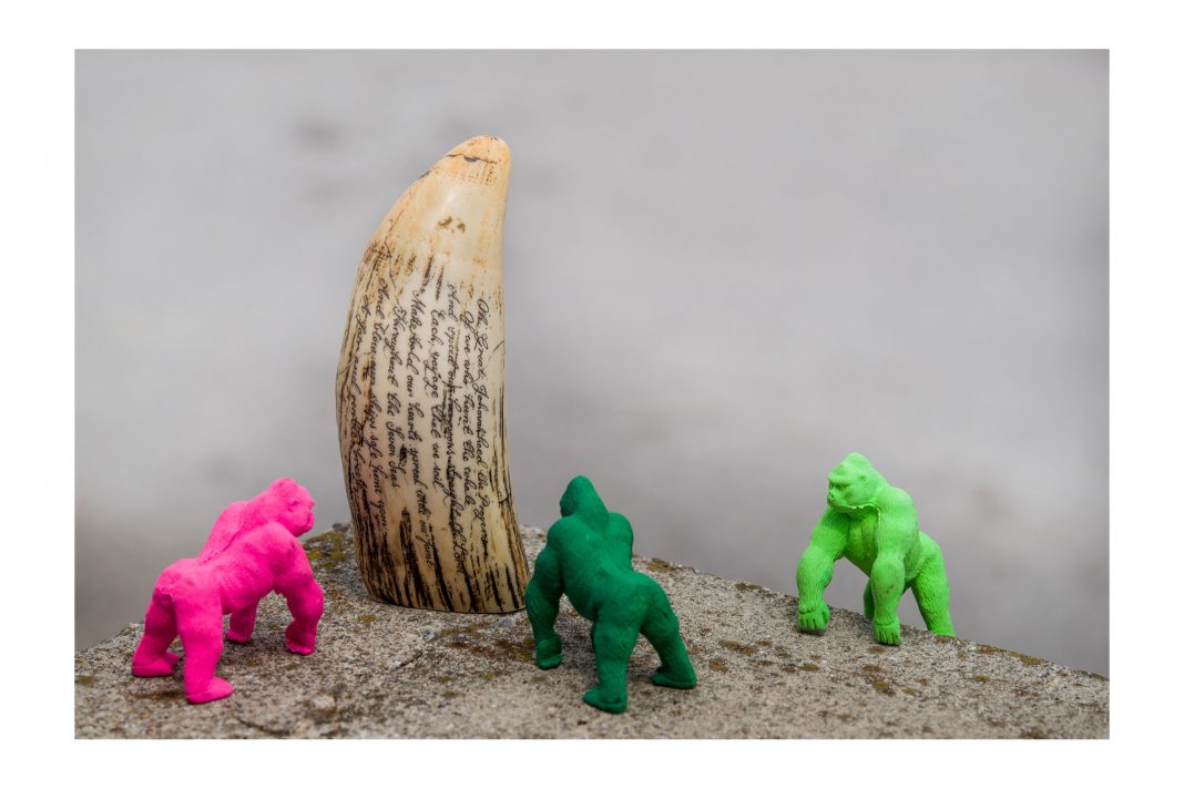 Eugenio Volpi – Zoo’s. Fotografia di Origine Animalehttps://www.exibart.com/repository/media/eventi/2015/12/eugenio-volpi-8211-zoo8217s.-fotografia-di-origine-animale-1068x712.jpg