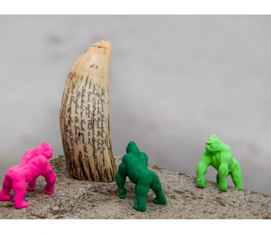 Eugenio Volpi – Zoo’s. Fotografia di Origine Animale