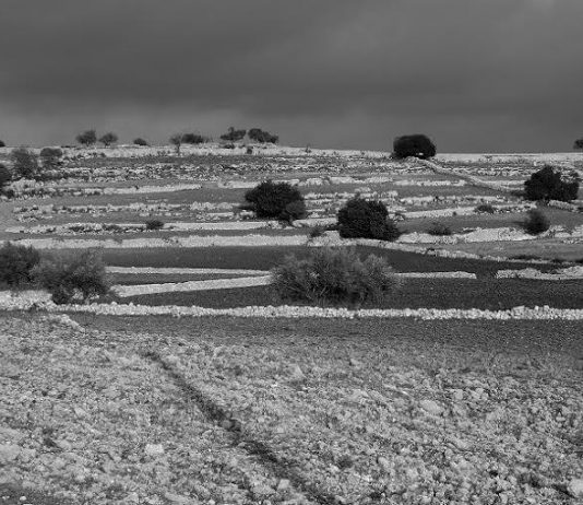 Giovanni Sarto – Le location di Montalbano