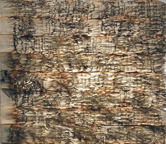 Maya Pacifico – Diaries