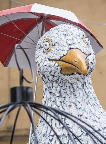 Paolo Ruffini – Gabbia-No