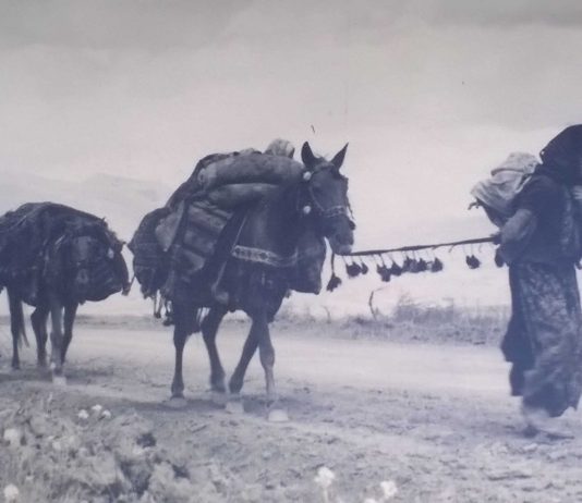 Pensare l’Emozione. Le Fotografie di Viaggio di Adriano Paltrinieri