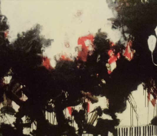 Romano Boccali / Saul Paloschi – Note di espressionismo